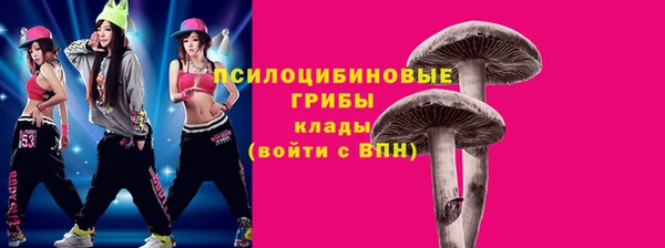 ГАЛЛЮЦИНОГЕННЫЕ ГРИБЫ Киренск