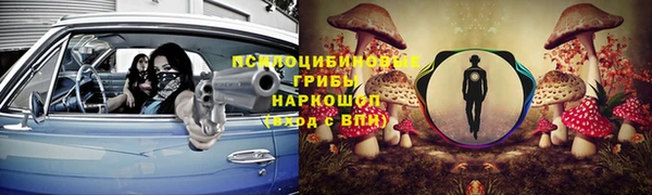 ГАЛЛЮЦИНОГЕННЫЕ ГРИБЫ Киренск