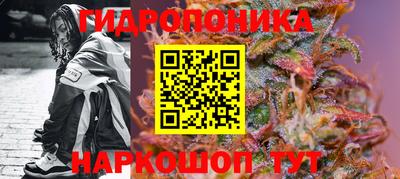 гидропоника Дубна